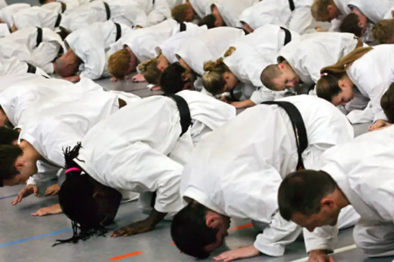 zur-japanischen-Kampfsportart-Karate-die-weltweit-Anhaenger-findet