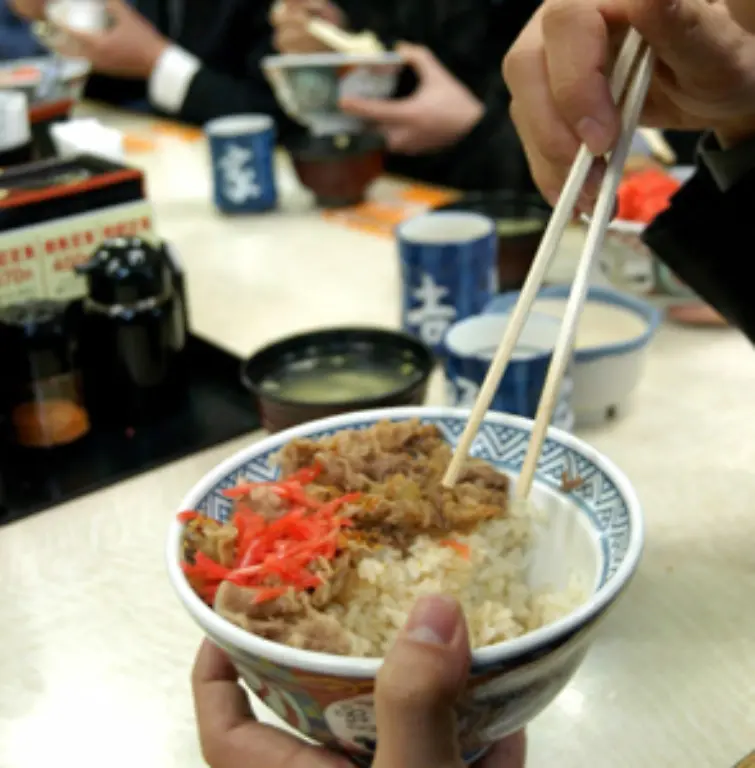 Ganz-besonders-aber-hat-sich-die-japanische-Kochkunst-durchgesetzt