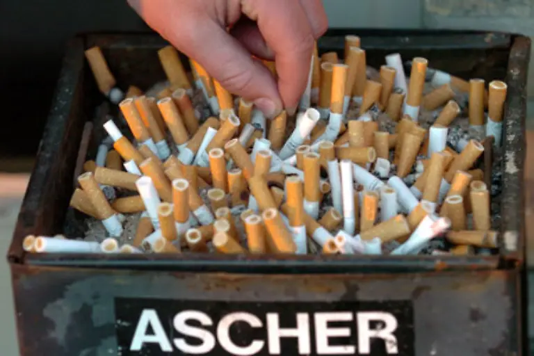 Der-Zigarettenrauch-enthaelt-neben-anderen-schaedlichen-Giftstoffen-Nikotin-Teer-Kohlenmonoxid-Schwefelsaeure-Blei-Nickel-Zink-und-Arsen-Nikotin-ist-der-Hauptwirkstoff-des-Zigarettenrauchs-und-eines-der-staerksten-Gifte-30-bis-50-Milligramm-sind-bereits-toedlich