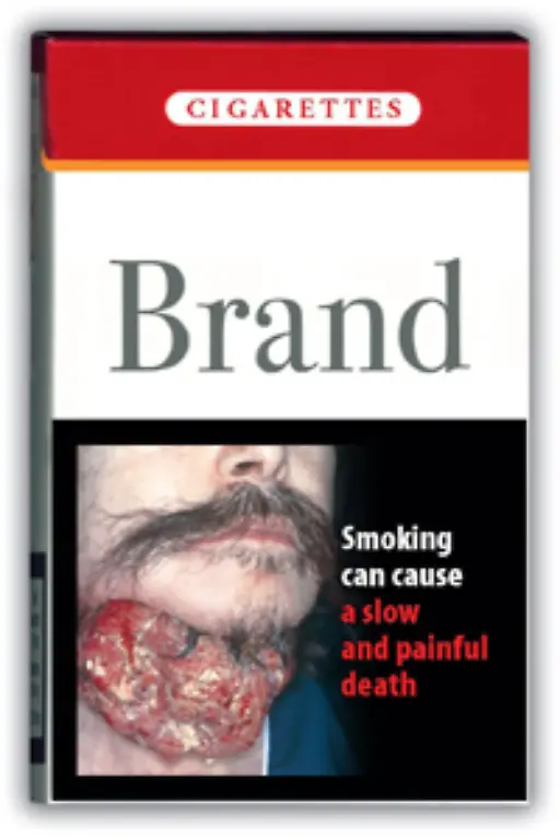 Auch-die-EU-hatte-2004-eine-grosse-Kampagne-vorgestellt-um-Raucherschaeden-drastischer-vor-Augen-zu-fuehren