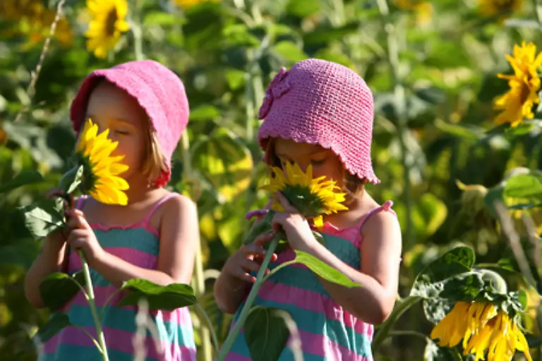 Die-Nase-gehoert-zum-Geruchssinn