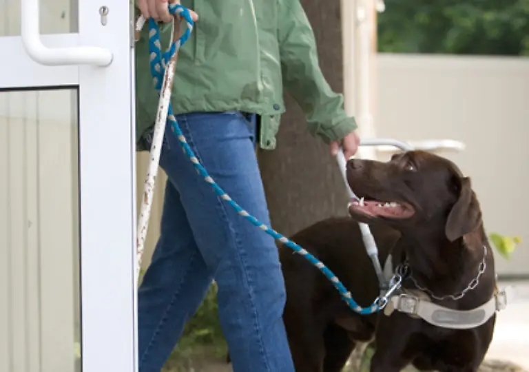 Diese-Sinne-kann-man-in-Nahsinne-Geschmack-Geruch-Tastsinn-und-Fernsinne-Hoersinn-Sehsinn-unterteilen