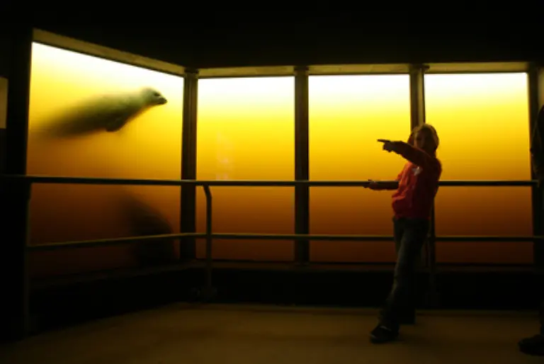 Aus-diesem-Grund-machen-es-sich-viele-Menschen-zum-Prinzip-nur-das-zu-glauben-was-sie-sehen