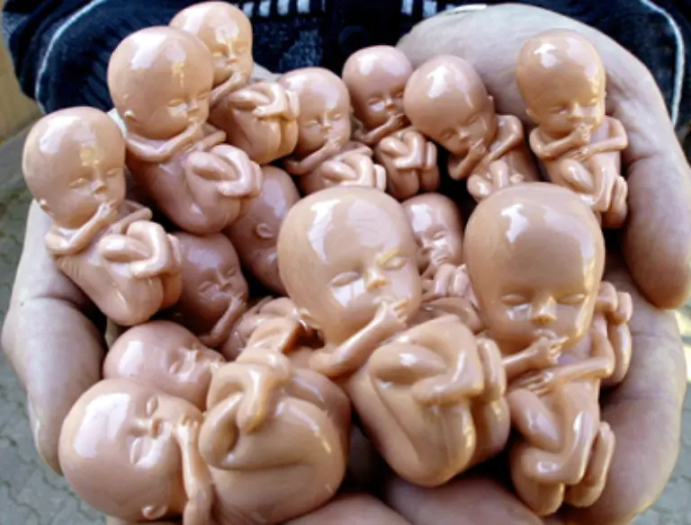 Mit-diesem-Sinn-ist-bereits-der-ungeborene-Mensch-ausgestattet-Bereits-ab-der-20-Schwangerschaftswoche-hat-der-Embryo-die-Faehigkeit-Toene-wahrzunehmen-und-zu-unterscheiden