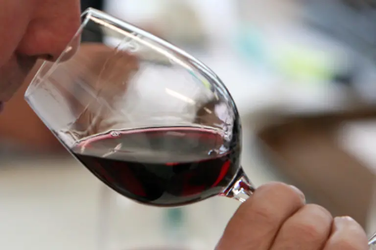 Mit-dem-Geruchssinn-verbunden-ist-der-Geschmackssinn