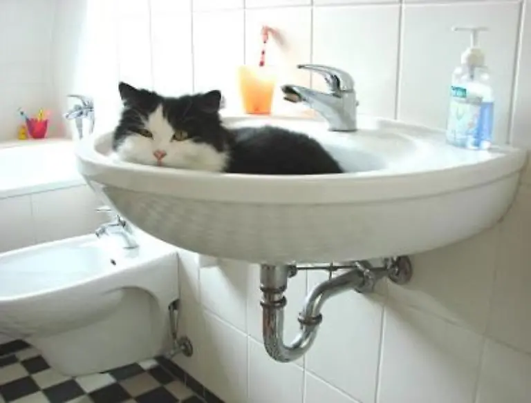 Oder-in-Form-eines-verstopften-Abflussrohres