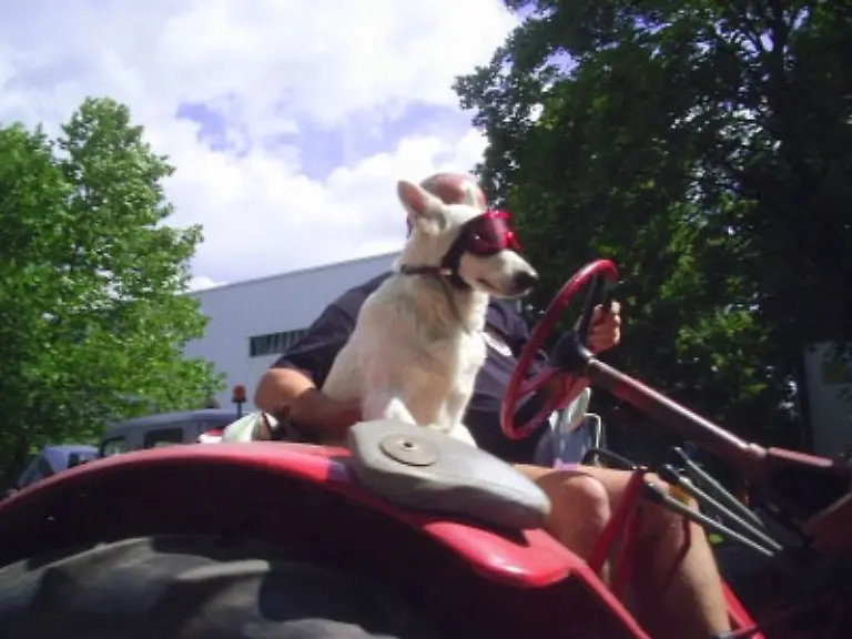 Und-noch-ein-Beispiel-fuer-eine-Versicherung-die-keiner-braucht-Die-Insassenunfallpolice-Sie-soll-Fahrer-und-Mitfahrer-schuetzen-wenn-sie-im-eigenen-Auto-zu-Schaden-kommen