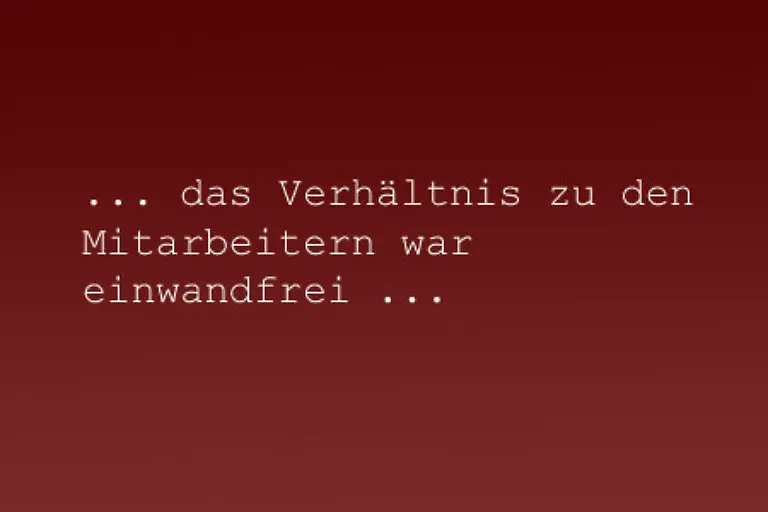 Wird-der-Vorgesetzte-ueberhaupt-nicht-erwaehnt-deutet-das-auf-einen-sehr-schlechten-Kontakt-hin