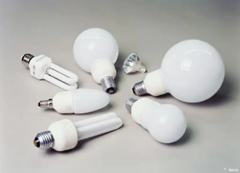 Energiesparlampen-gibt-es-mittlerweile-auch-in-den-unterschiedlichsten-Formen-Zwar-kosten-sie-mehr-als-normale-Gluehlampen-dafuer-ueberleben-sie-auch-leicht-zehn-Gluehbirnen
