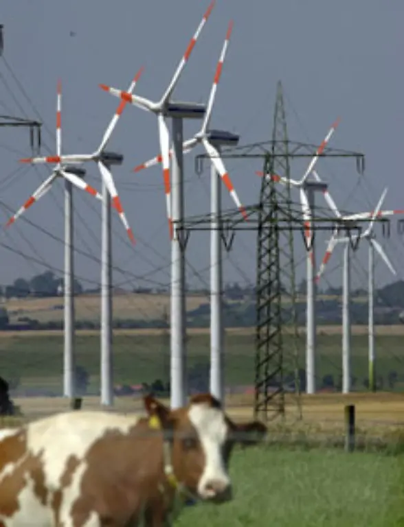 Windkraft-2-6-Prozent-2-8-Mio-t-SKE-und