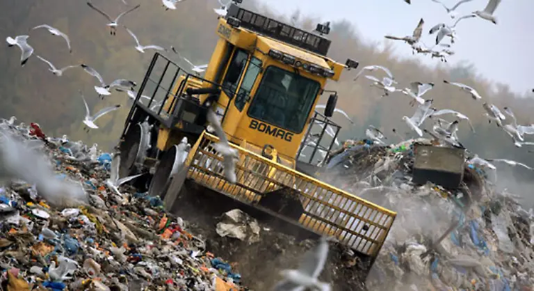 Musste-schon-konkret-sein-Das-ganze-Wischi-Waschi-hat-der-Mann-in-dem-Bulldozer-plattgefahren