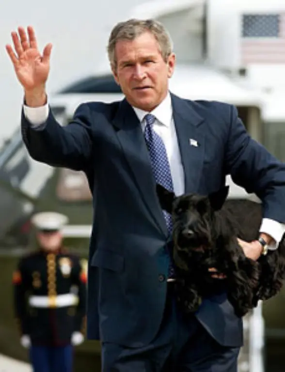 Schliesslich-hat-er-hunderttausende-Soldaten-in-den-Irak-und-nach-Afghanistan-geschickt-Die-haben-zwar-Osama-bin-Laden-nicht-geschnappt-aber-diesen-schwarzen-Knuddel-Hund-aus-einem-Erdloch-befreit