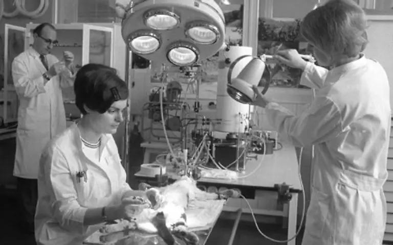 Seit-1959-wurde-von-Aerzten-und-Kliniken-eine-Haeufung-von-furchtbaren-Fehlbildungen-bei-Neugeborenen-bemerkt-Da-es-jedoch-kein-Meldegesetz-fuer-Fehlbildungen-gab-blieb-das-wahre-Ausmass-der-Katastrophe-zunaechst-im-Dunkeln