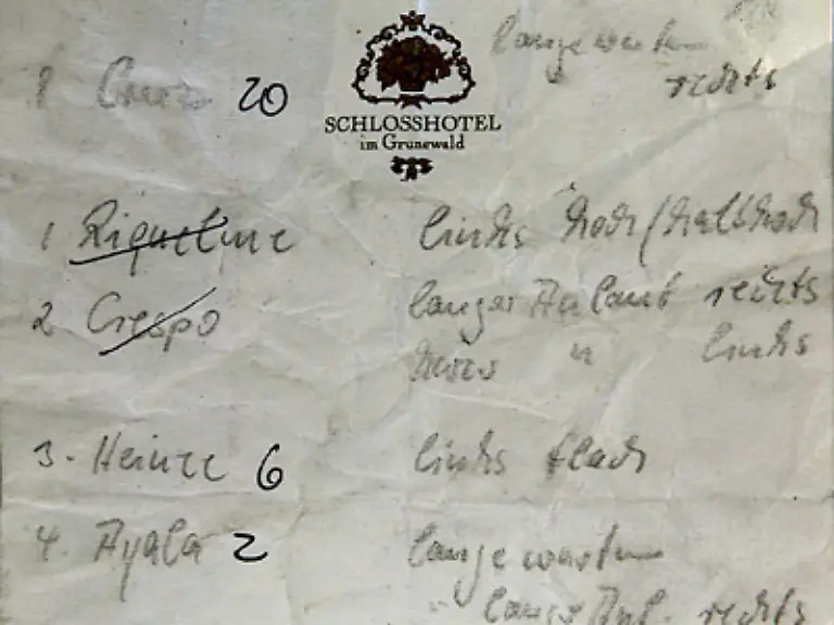 Andere-bringen-einen-ins-Halbfinale-der-Fussball-WM