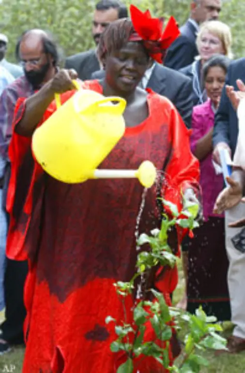 Sie-wurde-fuer-ihren-Einsatz-zu-nachhaltiger-Entwicklung-Demokratie-und-Frieden-ausgezeichnet-Erstmals-wurde-dabei-die-Bedeutung-des-Umweltschutzes-fuer-den-Weltfrieden-hervorgehoben