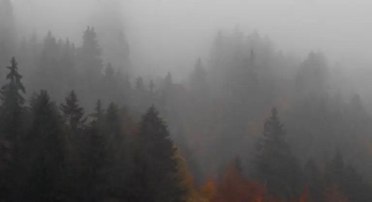 und-geniessen-wir-den-Herbst-Alle-Bilder-dpa-AP