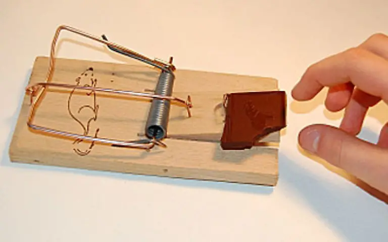 Frauen-lieben-bekanntermassen-die-braune-Verfuehrung-und-schwoeren-sie-koenne-suechtig-machen-Sie-ist-bewaehrter-Troester-bei-Liebeskummer-oder-Frust-im-Job-nachgewiesenermassen-denn-sie-enthaelt-anregende-und-stimmungsaufhellende-Substanzen