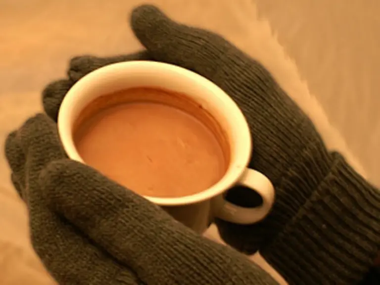 Die-Welt-lernte-das-Kakaotrinken-von-den-Azteken-Das-Kakaopulver-wurde-mit-kaltem-Wasser-vermischt-und-schmeckte-entsprechend-bitter-Schokolade-heisst-denn-auch-nichts-anderes-als-heisses-Wasser-Vor-den-Azteken-hatten-bereits-die-Maya-Kakao-angebaut