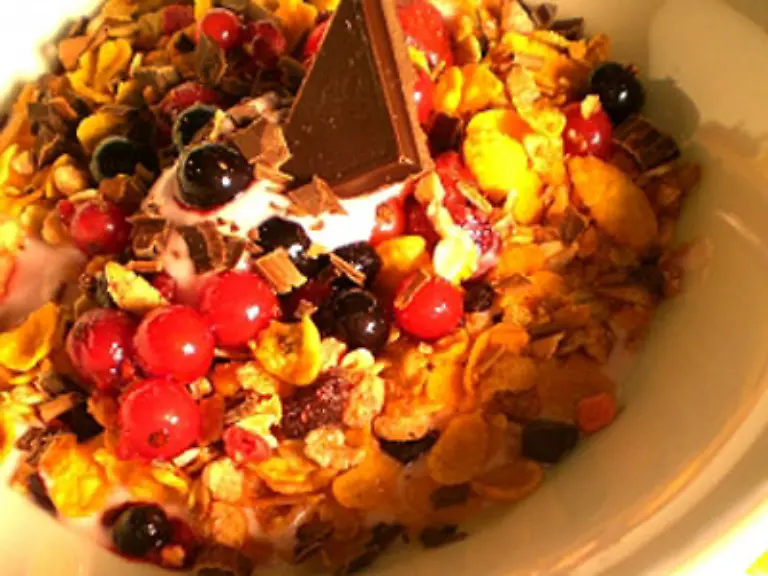 Man-kann-sich-damit-auch-die-gesunden-Dinge-versuessen