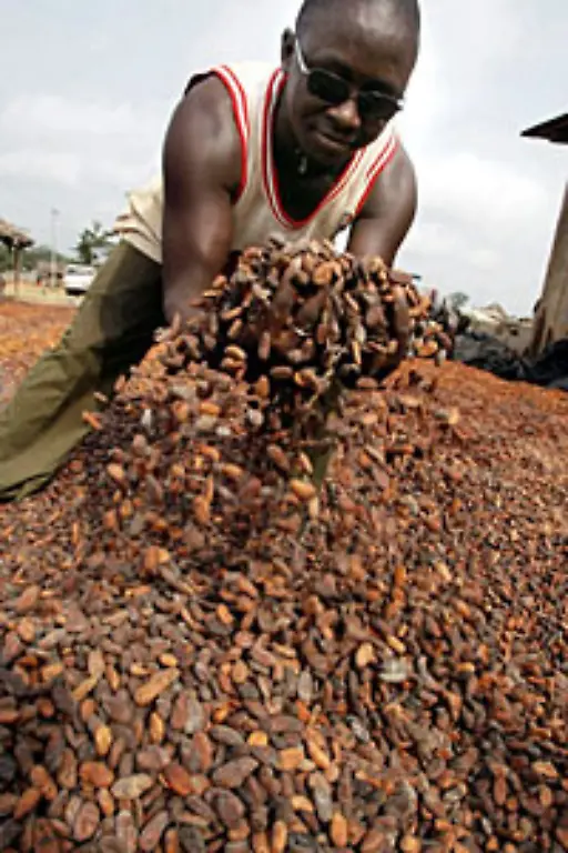 Heute-ist-die-Elfenbeinkueste-ist-das-weltweit-groesste-Kakao-Anbauland-Die-Folgen-des-Buergerkriegs-bedrohen-allerdings-den-Export-erheblich