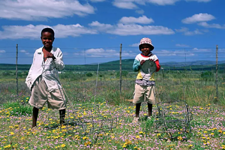 Zwei-Jungen-aus-dem-Volk-der-Xhosa-spielen-mit-ihren-Drahtautos-Der-bekannteste-Angehoerige-der-Xhosa-ist-der-Freiheitskaempfer-Nelson-Mandela-Die-Sprache-der-Xhosa-enthaelt-viele-Schnalz-und-Klicklaute