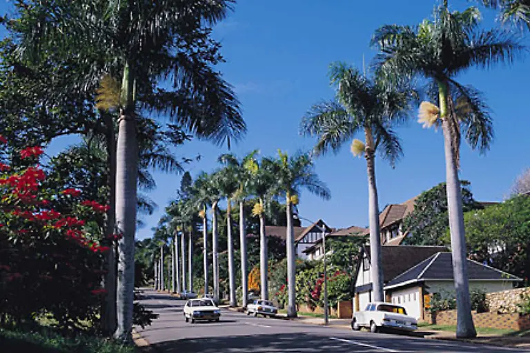 Durban-ist-wegen-seines-suptropischen-Klimas-und-der-Straende-vielen-Touristen-eine-Reise-wert-Zur-Stadt-gehoert-auch-der-groesste-Hafen-Afrikas