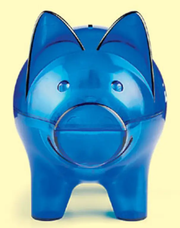 Geld-im-Schwein-wird-inflationsbedingt-weniger-wert-Deshalb-lieber-zur-Bank-damit-Sparschweine-gestalten-ist-hingegen-ein-echter-Hit-Die-Sparkasse-Pforzheim-Calw-praemierte-sogar-mal-die-schoensten-Schweine-ein-wahrer-Leckerbissen
