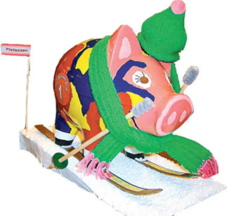 Skifahrer