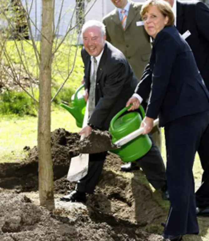 Sie-koennen-aber-auch-etwas-nachhelfen-einen-Ast-mit-Wurzeln-aus-dem-Wasser-nehmen-ihn-in-die-Erde-stecken-und-sich-den-Akt-des-Baum-Pflanzens-dann-selbst-gutschreiben