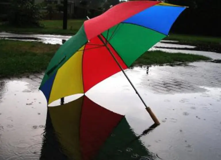 Die-Themenvielfalt-ist-gross-Wie-ist-das-Wetter-im-Vergleich-zum-letzten-Jahr-Wie-geht-es-Flora-und-Fauna-Sie-koennen-dabei-sogar-ein-wenig-persoenlich-werden-und-von-den-Pflanzen-in-Ihrem-Garten-oder-auf-Ihrem-Balkon-erzaehlen