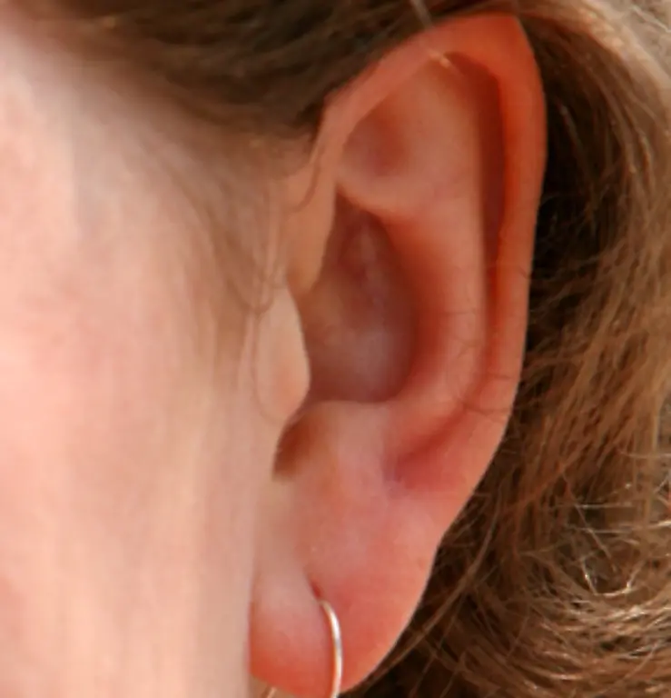 Das-menschliche-Ohr-besteht-aus-drei-Teilen-dem-Aussenohr-dem-Mittelohr-und-dem-Innenohr