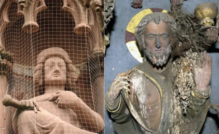 Mit-Netzen-wird-bereits-in-vielen-Staedten-versucht-Monumente