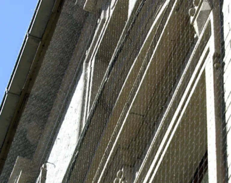 und-Fassaden-vor-dem-Taubenkot-zu-schuetzen