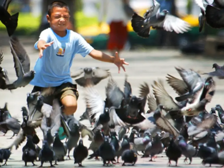 Aus-diesem-Grund-empfinden-viele-Menschen-Ekel-vor-den-Tieren-und-machen