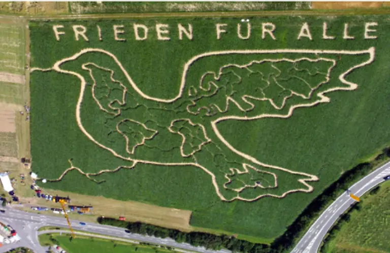 obwohl-die-Taube-in-unserem-Kulturkreis-ein-Symbol-fuer-Frieden-ist
