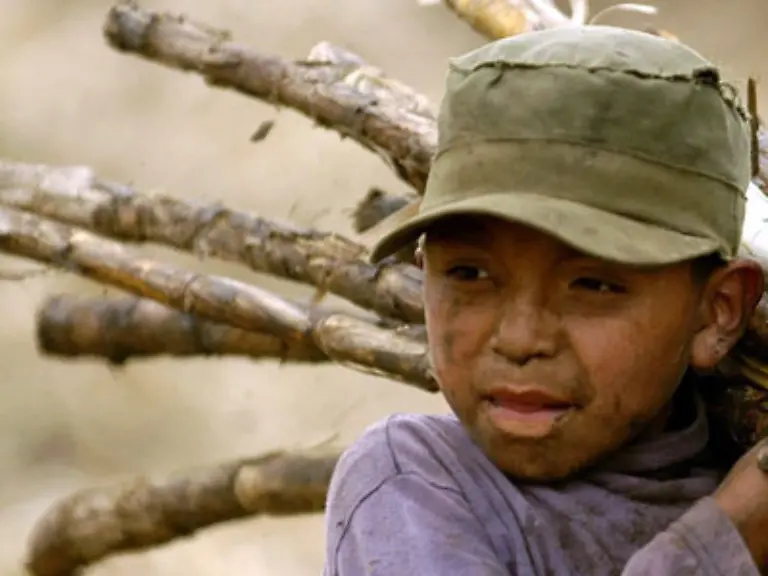 So-werden-zum-Beispiel-schreiende-Babys-totgeschlagen-Kinder-aus-armen-Laendern-an-westliche-Adoptiveltern-verkauft