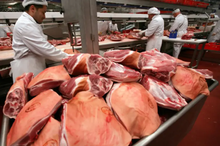Schweinefleisch