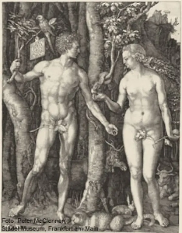 Auf-der-Suche-nach-einem-eigenen-Stil-setzt-sich-der-Kuenstler-nicht-nur-mit-den-Werken-Albrecht-Duerers-Adam-und-Eva-1504