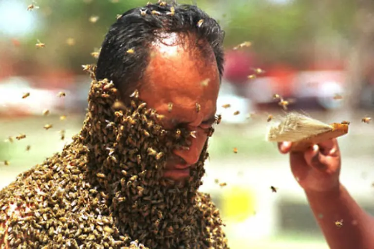 Das-mit-den-Bienen-ist-da-schon-komplizierter-Schliesslich-kriegt-man-die-nicht-in-jeder-x-beliebigen-Zoo-Handlung
