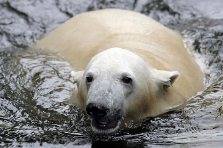 Das-Kuschelverbot-scheint-ihm-wurscht
