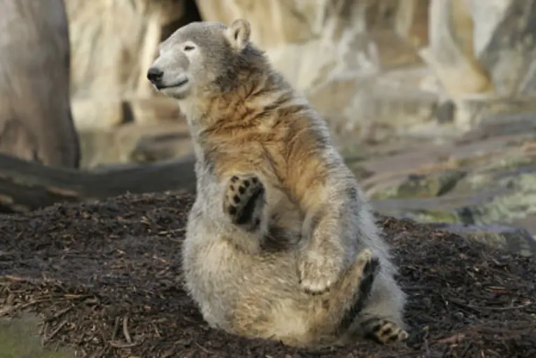 koennte-in-Naturboeden-buddeln-und-vielleicht-gaebe-es-ja-sogar-das-eine-oder-andere-Croissant