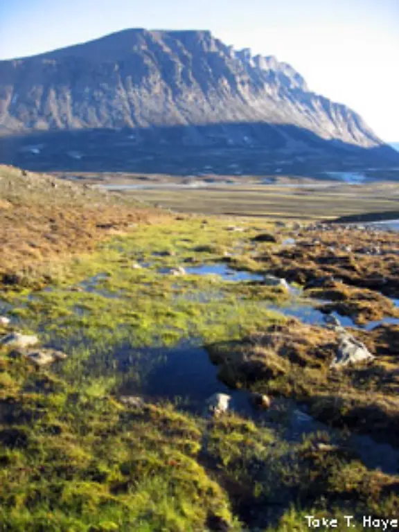 Der-internationale-Tag-des-Berges-am-11-Dezember-macht-auf-die-Auswirkungen-des-Klimawandels-auf-Gebirge-und-ihre-Oekosysteme-aufmerksam