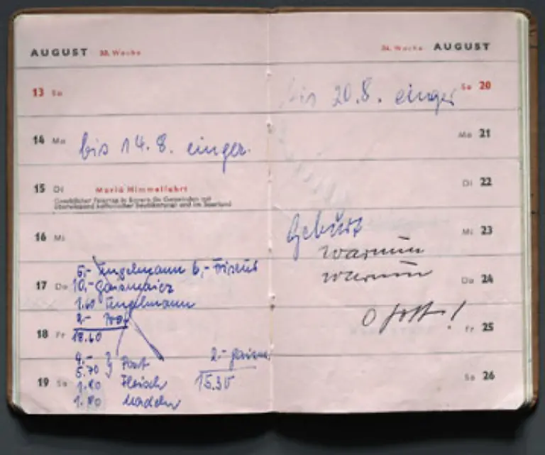 Persoenliches-Schicksal-Taschenkalender-einer-Mutter-die-1961-ein-Contergan-geschaedigtes-Kind-zur-Welt-brachte