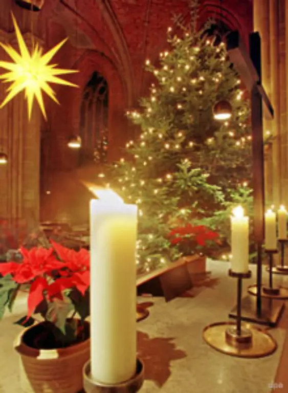 Weltweit-ist-der-festlich-geschmueckte-Baum-ein-Symbol-fuer-das-Christfest