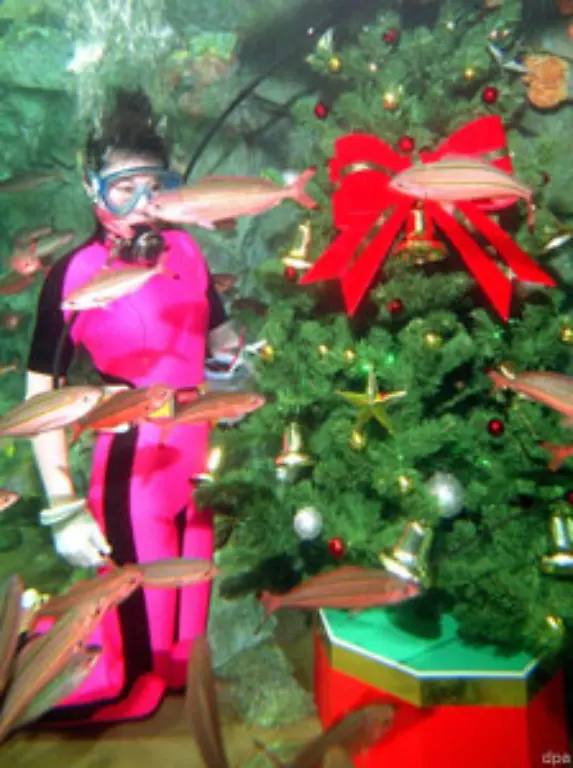 fuers-Aquarium-und