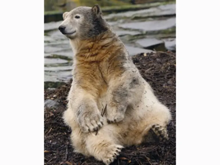 Und-das-hier-ist-er-DER-Mensch-des-Jahres-Ein-gewisser-K-aus-B