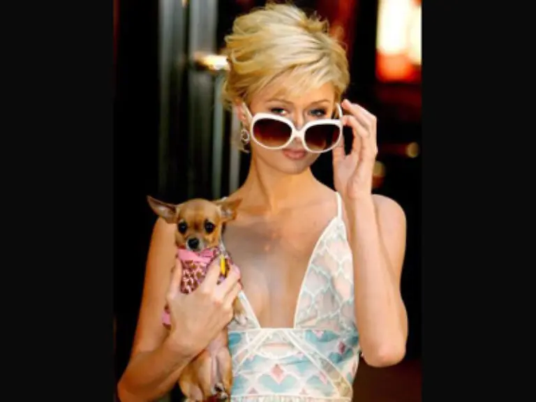 Paris-Hilton-war-im-Knast-wegen-wiederholter-Verkehrsdelikte-Viele-fragen-sich-ob-sie-dort-nicht-noch-ein-Weilchen-laenger-haette-bleiben-koennen-Paris-moechte-sich-nun-aber-mit-Prinz-Harry-und-Angela-Merkel-treffen