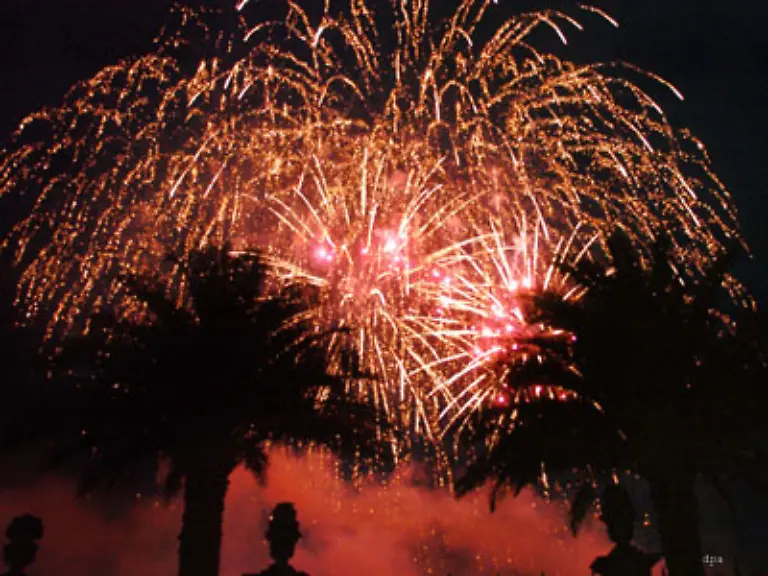 Feuerwerk-ueber-Palmen-und-das-in-Niedersachsen-Von-Juni-bis-September-wurde-in-Hannover-Herrenhaeuser-Gaerten-der-internationale-Feuerwerkswettbewerb-ausgetragen-Sechs-Pyrotechniker-aus-unterschiedlichen-Laendern-stellten-ihr-Koennen-unter-Beweis