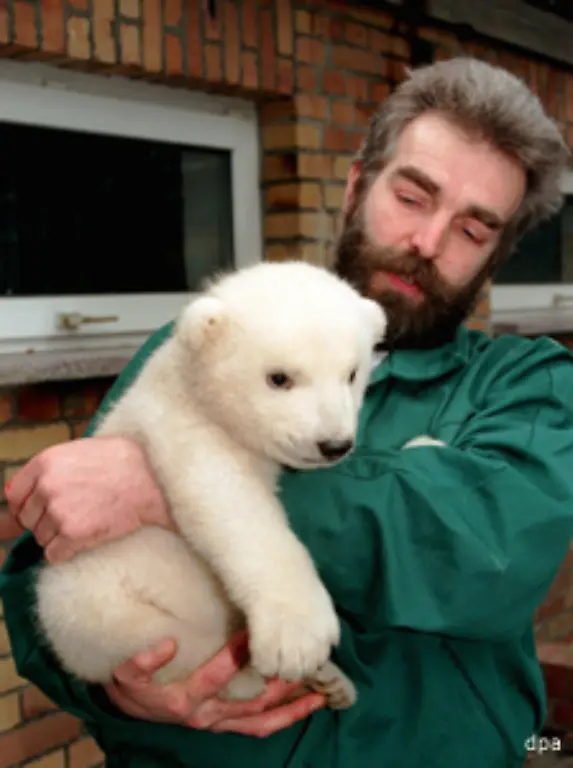 Da-haben-wir-uns-scheint-s-einiges-entgehen-lassen-So-z-B-auch-diesen-suessen-Fratz-der-1996-im-Rostocker-Zoo-das-Licht-der-Welt-erblickte