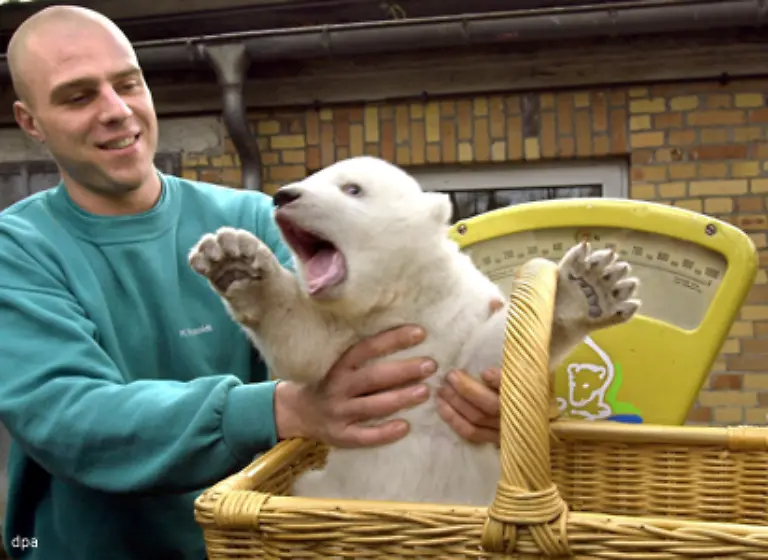 Nun-gut-Vilma-und-ihre-Geschwister-waren